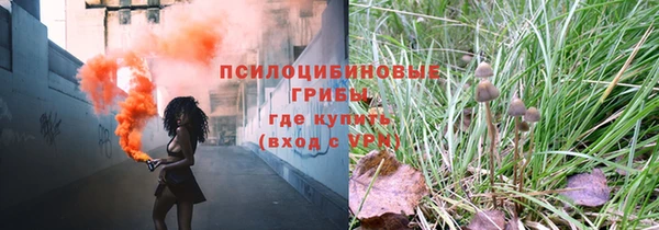 наркотики Алексин