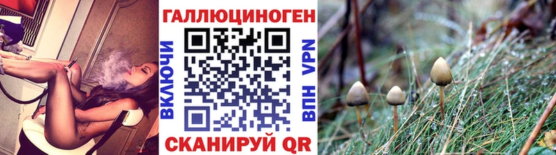 Псилоцибиновые грибы прущие грибы  продажа наркотиков  Ядрин 